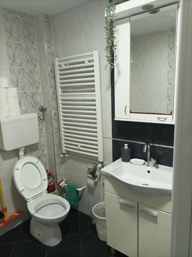 Ariana Apartman Kragujevac Ngoại thất bức ảnh